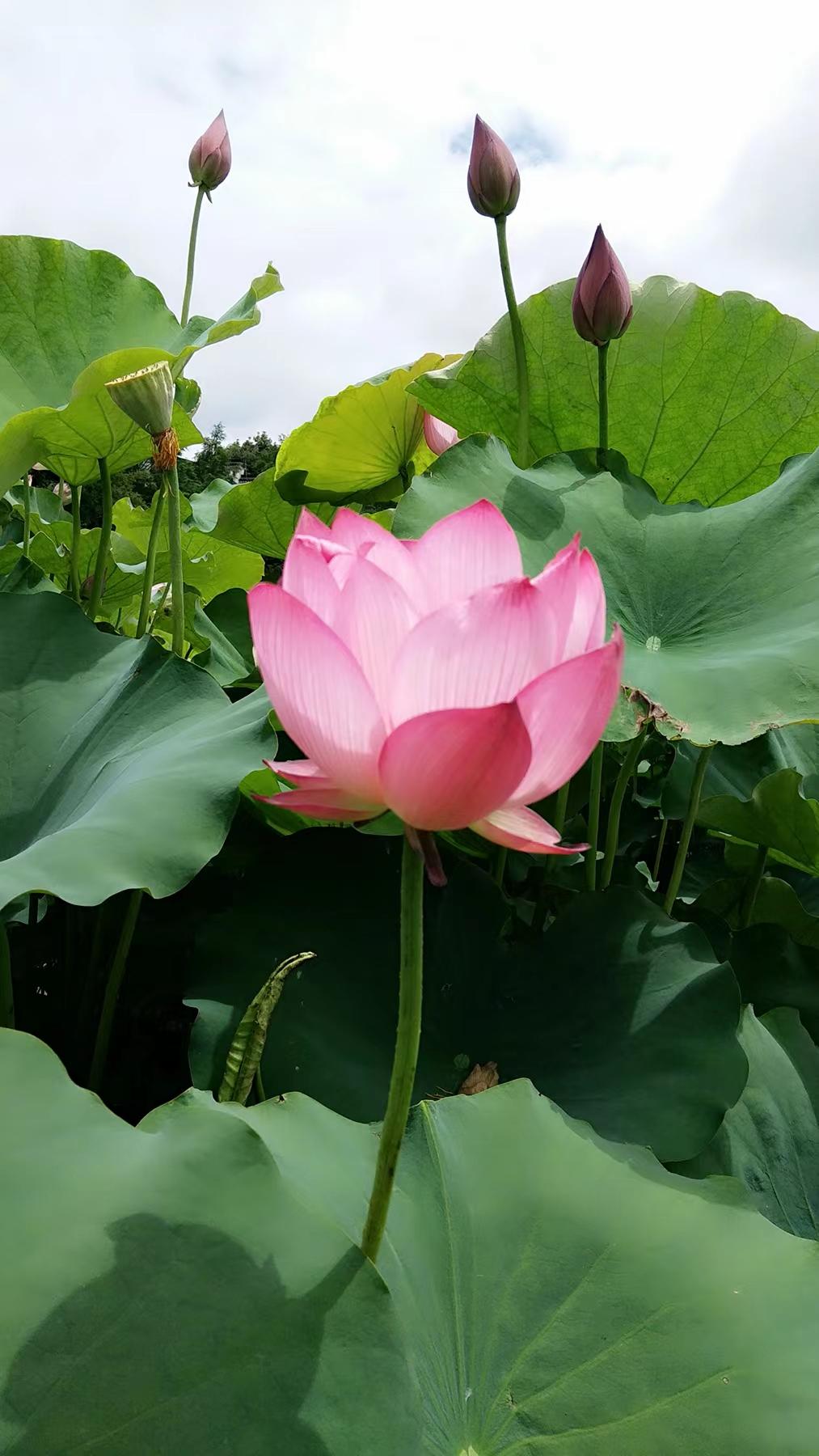 http://www.z4500.cn/hsdt/221.html